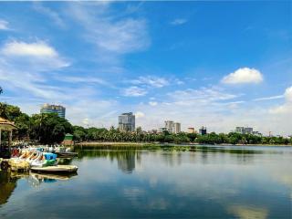 Park View WindowLocal flair - 3