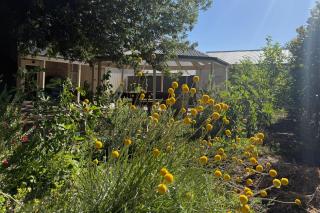 Barossa Mulberry Homestead - Angaston - 9