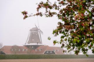 Campingpark de Linie - 2