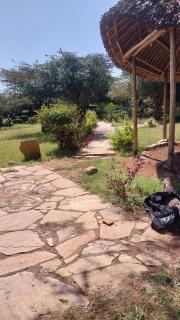 Acacia Sunset Mara Camp - 1