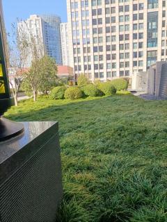 Beijing SOHO Apartment A World Trade Center Store - 1