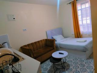 Cosy Studio unit, Machakos Town - 2