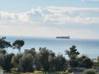 AZZURRO BAR Apartment - 0