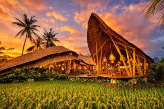 Green Lander Ubud - 9