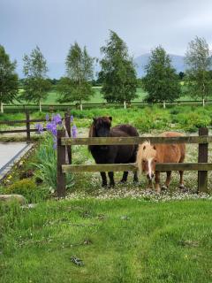 Glenrigh Luxury 2-bedroom Cottage Cahir - 2