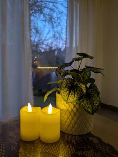 Les Nuits Nordiques - 1