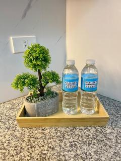 Nyli Minimalist Suite - 1