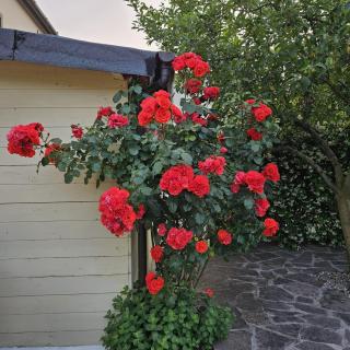 La casa di Valentina - 0