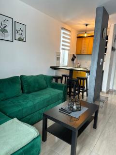 Apartman Blagojevic - 6