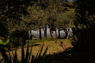 della Verde Umbria - 5