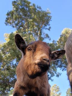 Modailene Cottage - 3