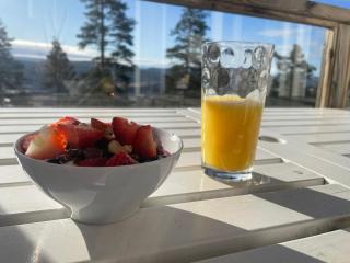 Ski-in, ski-out med milsvid utsikt och bastu - 5