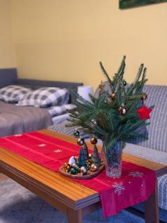 Apartament Salamandra Uno - 0