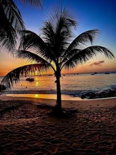 T.Cole’s Holiday Rental - Saint James - 8