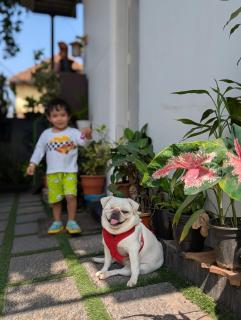 Chandralayam Homes - 9