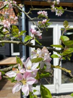 Holiday home De Heer van Bergen - Bergen - 2