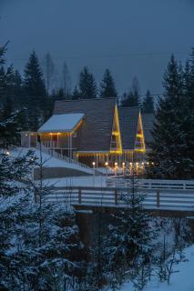 Freeman-1b двоповерховий апартамент з кухнею, альтанкою, грилем 8місний - 7