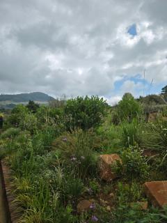 Modern, stylish home with the perfect views in Walkersons Private Estate Dullstroom - 3