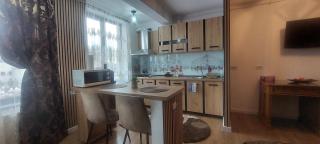 Teona Apartament Targu Neamt - 6