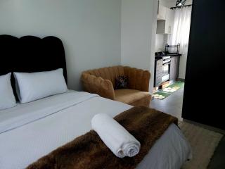 Studio Apartment near UN and US embassy Gigiri with swimming pool - 2