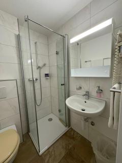 Landgasthof zum Zimmermann - 1