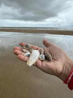 Junput Guest House - 5