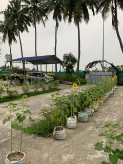 Junput Guest House - 1