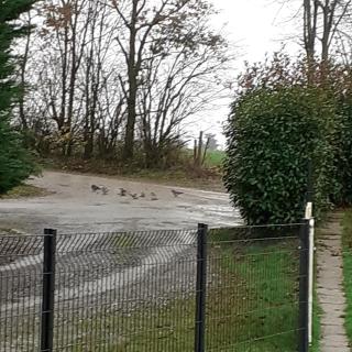 gite piscine campagne - 8