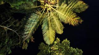 Pousada Sol Nascente - 8