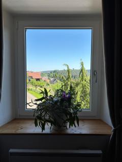 Gîte des abeilles du Kohlberg - 3