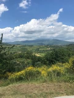 Casa al Vento - Talla - 9