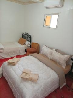 Palmas Magramane - 3