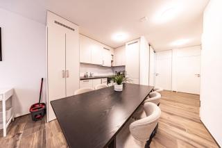 The R Apartment Farnsberg - 7
