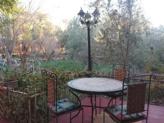 Palmas Magramane - 5