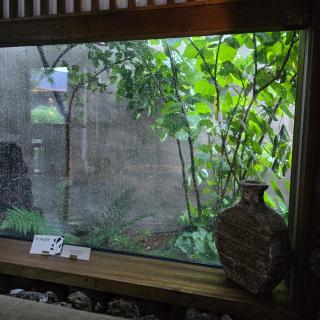 제주 감성숙소 스테이보스케 - 6