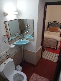 Palmas Magramane - 7