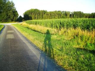 Studio au coeur de la vallée de la Loire - 7