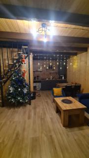 Cotagge Cozy Yard - Kazbegi - 5
