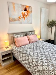 Apart 85 m2 proche de paris stade de France parking free - 8