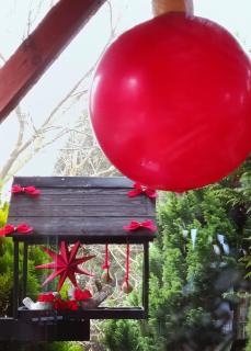 Agroturystyka u Lusi - 7