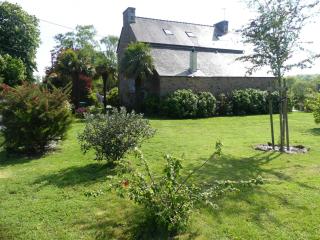 Les Palmiers de Bel Air - 6