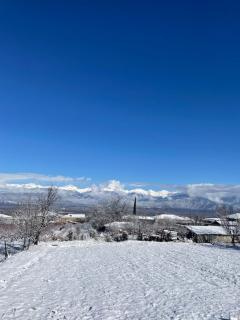 Sunset Cottage Busheti - 4