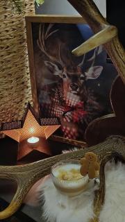 Agroturystyka u Lusi - 9