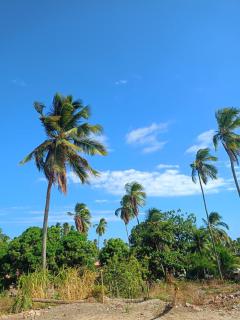 Pousada dos Artistas - 9