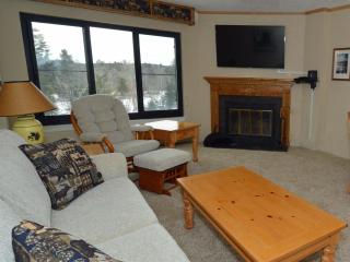 Silvercreek #1215: 2 bedroom, 2 bath Newest, nicest rental in kid friendly Silver Creek - 7