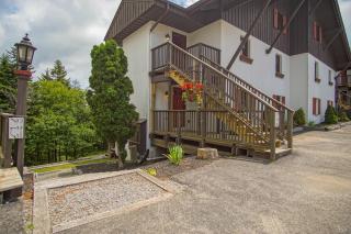 Whistlepunk #12: 4 Bedroom, 3 Bath: Slope Side, Wood Fireplace - 8