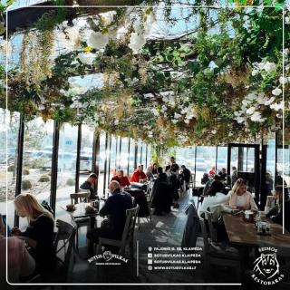 White Home & Garden - 7