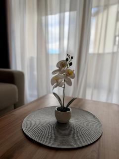 Golden Mountain Apartments - 3