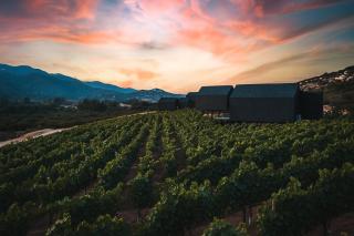 OENO WINE LODGE Valle de Guadalupe - 9