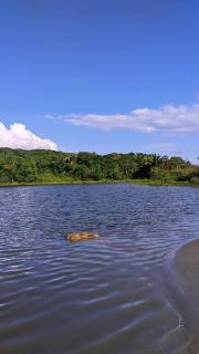 Obelisco hotel fazenda - 9